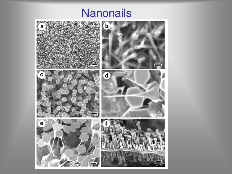 Nanonails